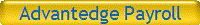 Advantedge Payroll