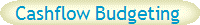 Cashflow Budgeting