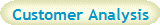 Customer Analysis