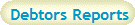 Debtors Reports
