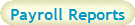 Payroll Reports