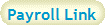 Payroll Link